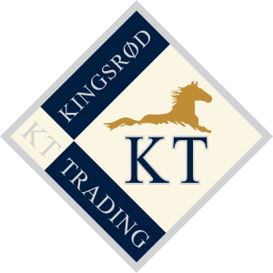 https://kssales.se/wp-content/uploads/2020/01/ktlogo-300x300-1.png